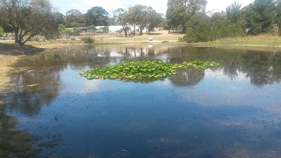 Click to view all images 550 Moorooduc Highway Mount Eliza VIC 3930 - Image 3