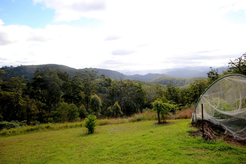 Click to view all images Lot 11 Toms Creek Road Toms Creek NSW 2446 - Image 1