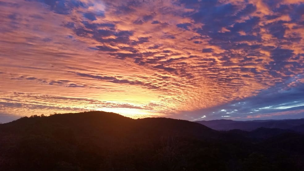 Click to view all images Lot 11 Toms Creek Road Toms Creek NSW 2446 - Image 2