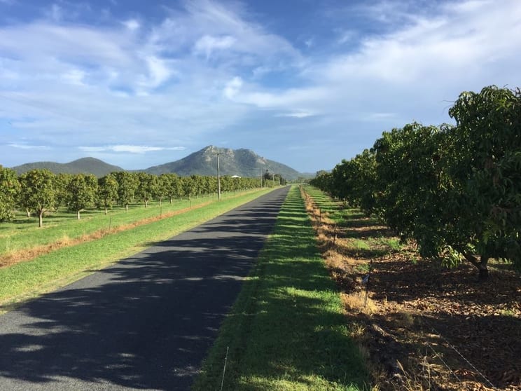 Click to view all images Bowen QLD 4805 - Image 1