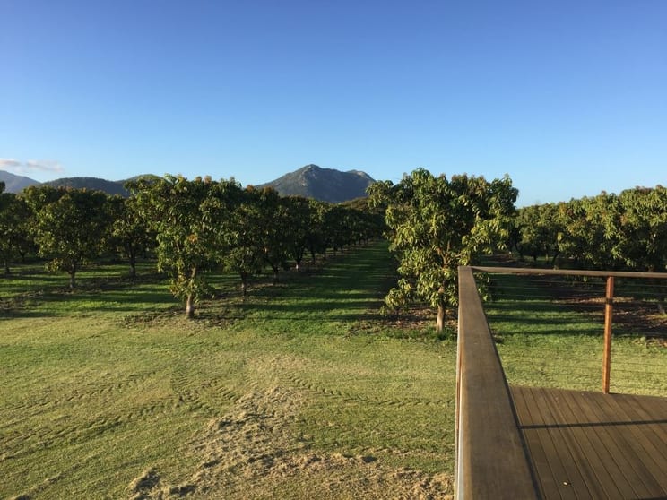 Click to view all images Bowen QLD 4805 - Image 3
