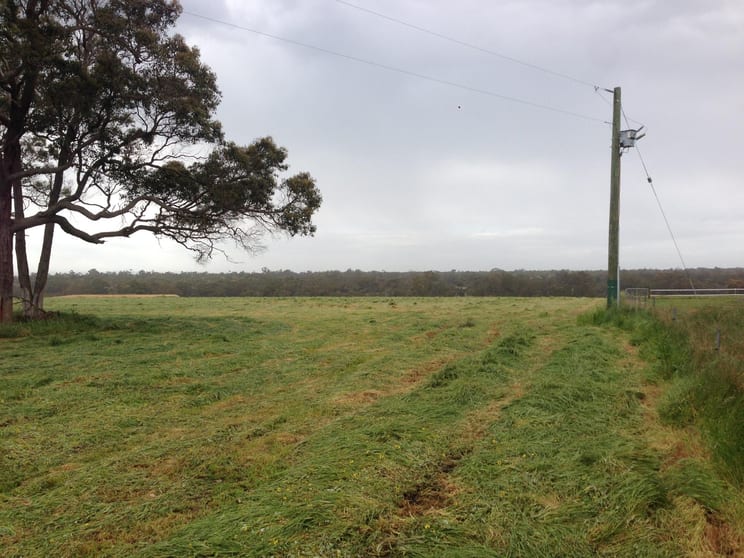 84 Maclean Close Mount Barker WA 6324 - Image 3