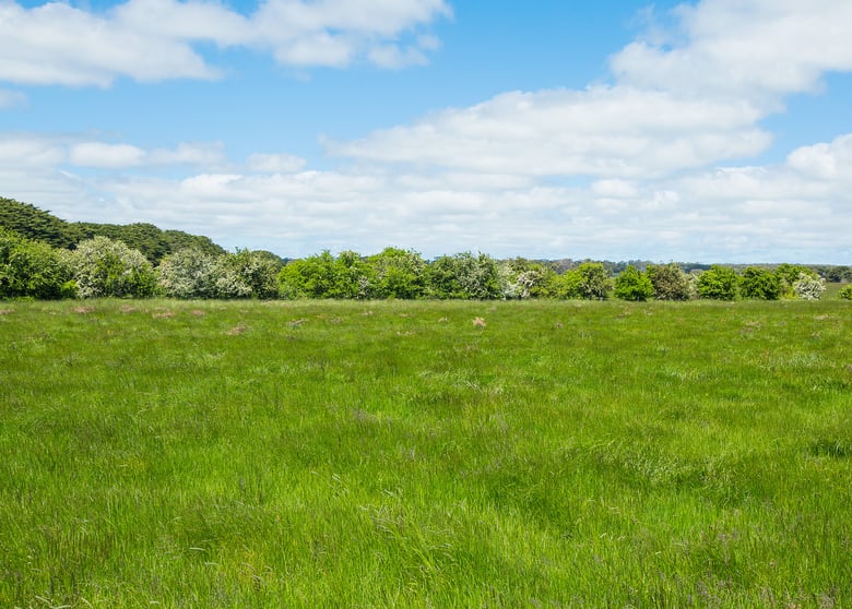 Click to view all images 1140 Curdies-Leichfield Road Cobrico VIC 3266 - Image 2