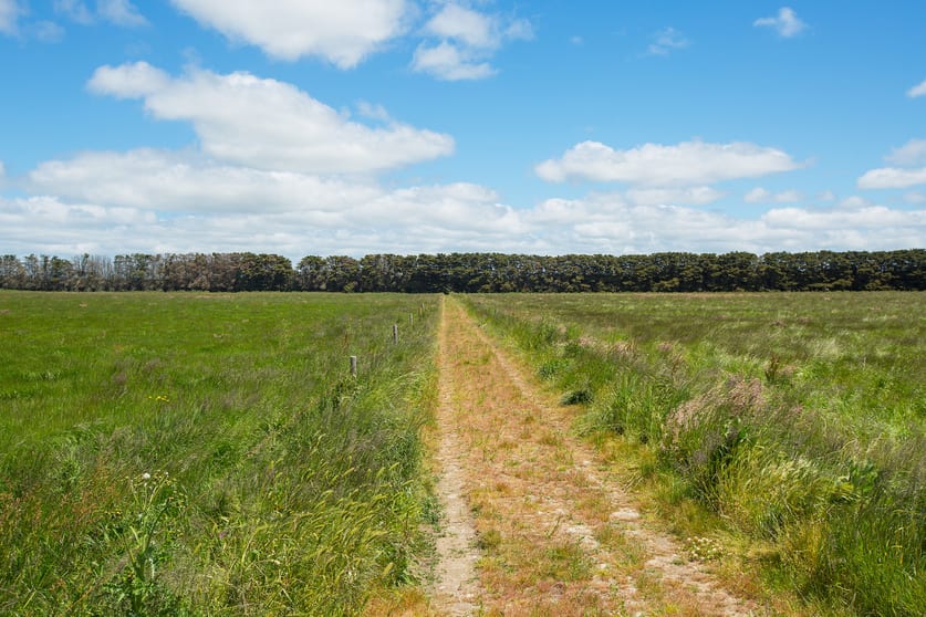 Click to view all images 1140 Curdies-Leichfield Road Cobrico VIC 3266 - Image 3