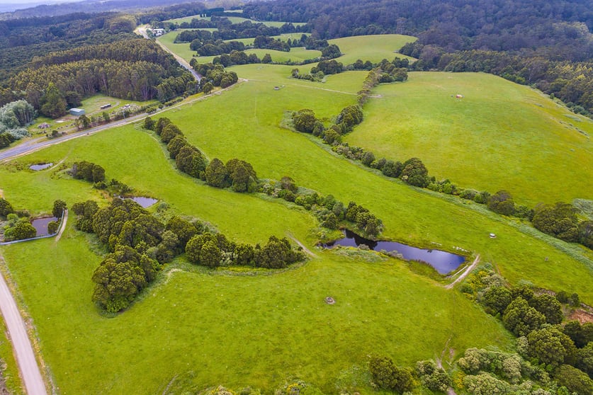 Click to view all images 2/4515 Colac Lavers Hill Road Wyelangta VIC 3237 - Image 2