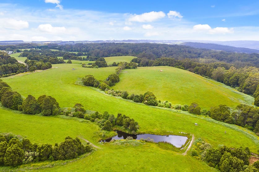 Click to view all images 2/4515 Colac Lavers Hill Road Wyelangta VIC 3237 - Image 3