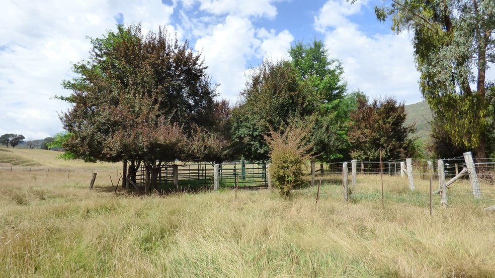 2A, 3 & 3B Myrtleford-Yackandandah Road Myrtleford VIC 3737 - Image 2