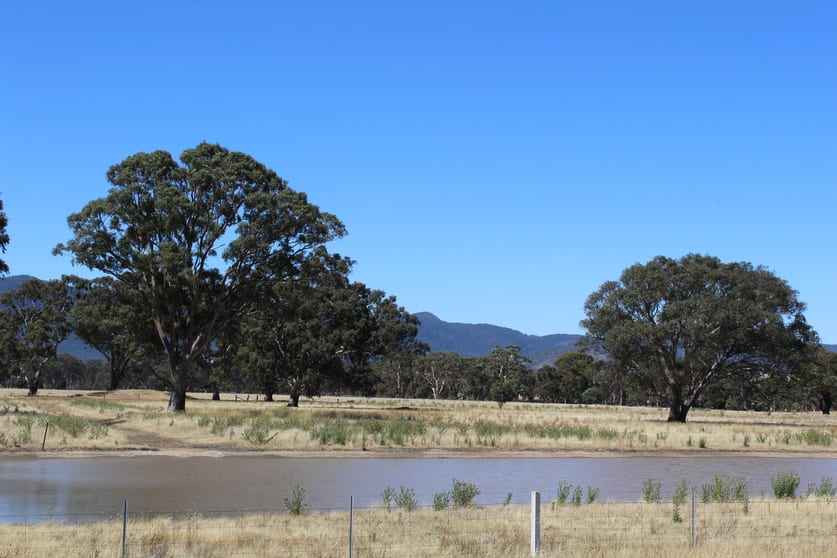 Click to view all images 11 Buangor-Ben Nevis Road Buangor VIC 3375 - Image 1