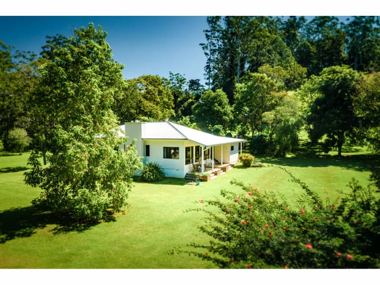 2240 Darkwood Road Bellingen NSW 2454 - Image 2