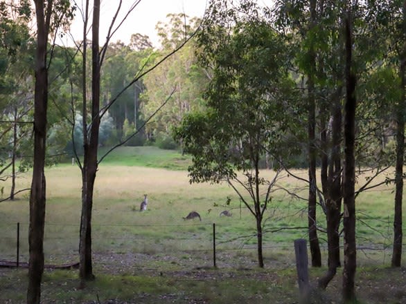 403 Wallaby Gully Road Ellalong NSW 2325 - Image 3