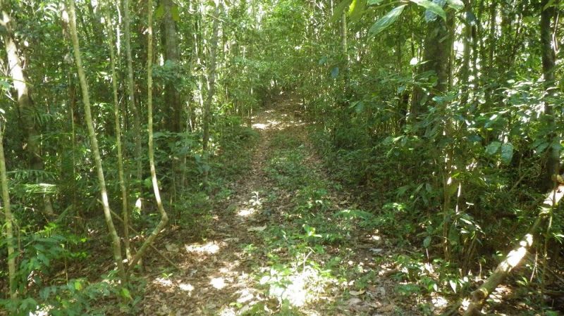 Ellinjaa QLD 4886 - Image 1