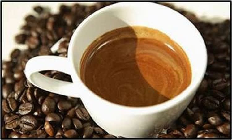 Food, Beverage & Hospitality  business for sale in Marrickville - Image 1