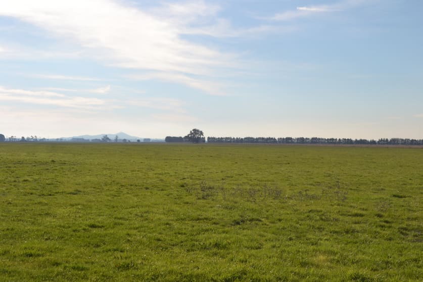 Click to view all images 1/Chamallak Lane The Sisters VIC 3265 - Image 2