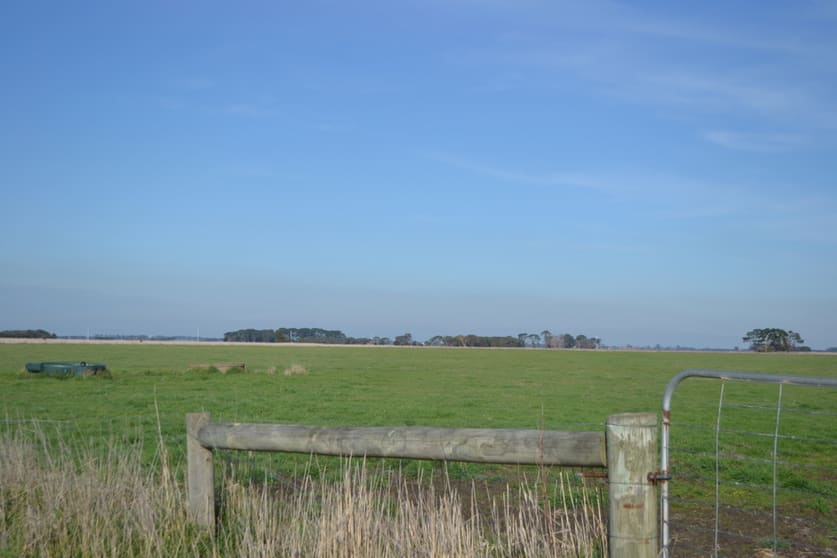 Click to view all images 1/Chamallak Lane The Sisters VIC 3265 - Image 3