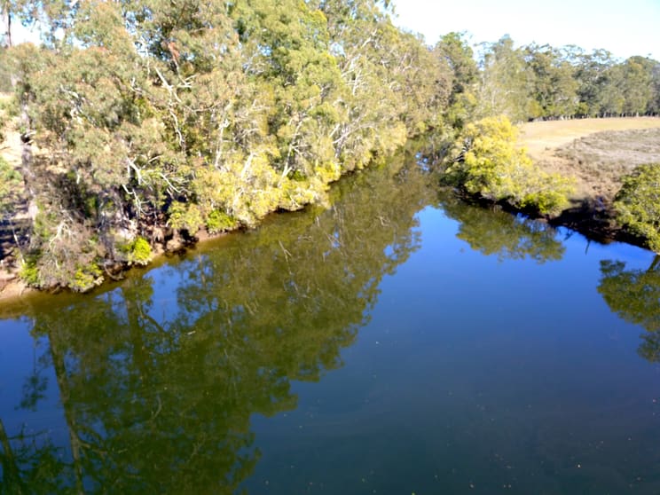 Click to view all images 900 Pembrooke Road Pembrooke NSW 2446 - Image 3