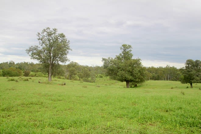 Click to view all images 1886 Duaringa-Biloela Road Duaringa QLD 4712 - Image 1
