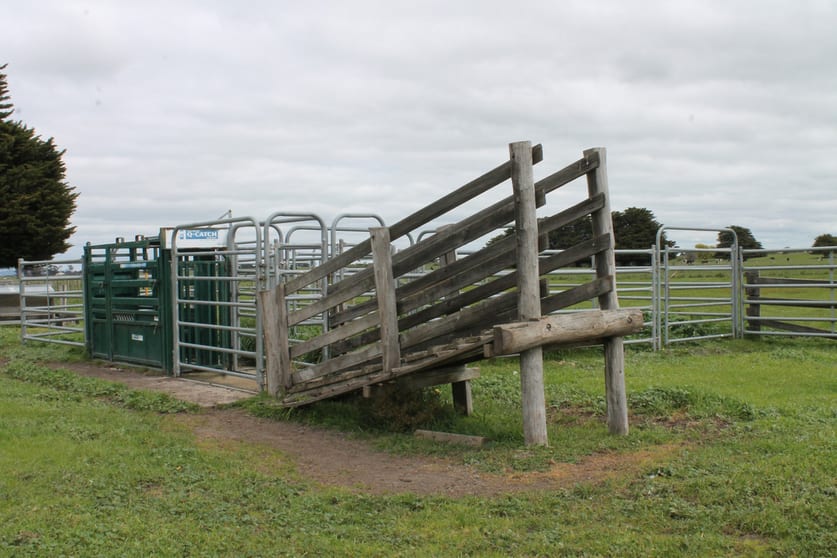 15 Kerrs Road Ondit VIC 3249 - Image 2