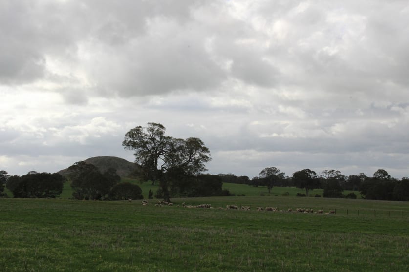 Click to view all images Mt Cavendish Road Cavendish VIC 3314 - Image 1