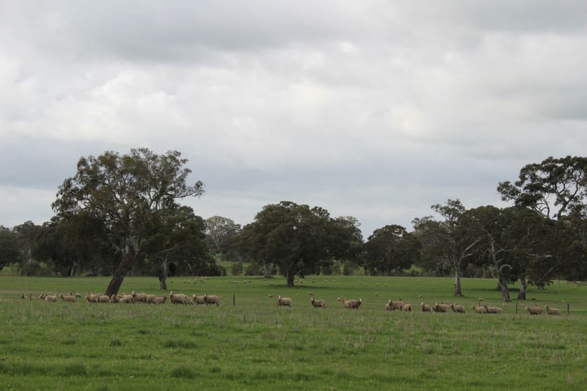 Click to view all images Mt Cavendish Road Cavendish VIC 3314 - Image 2