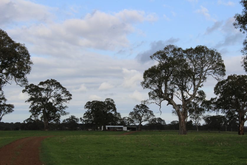 Click to view all images Mt Cavendish Road Cavendish VIC 3314 - Image 3