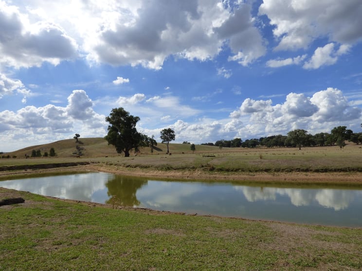 Click to view all images Lot 2 Whorouly South Road Whorouly South VIC 3735 - Image 2