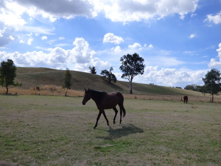 Click to view all images Lot 2 Whorouly South Road Whorouly South VIC 3735 - Image 3