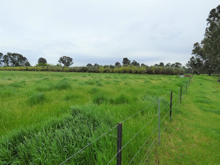 Click to view all images Lot 2 Whorouly Road Whorouly VIC 3735 - Image 1