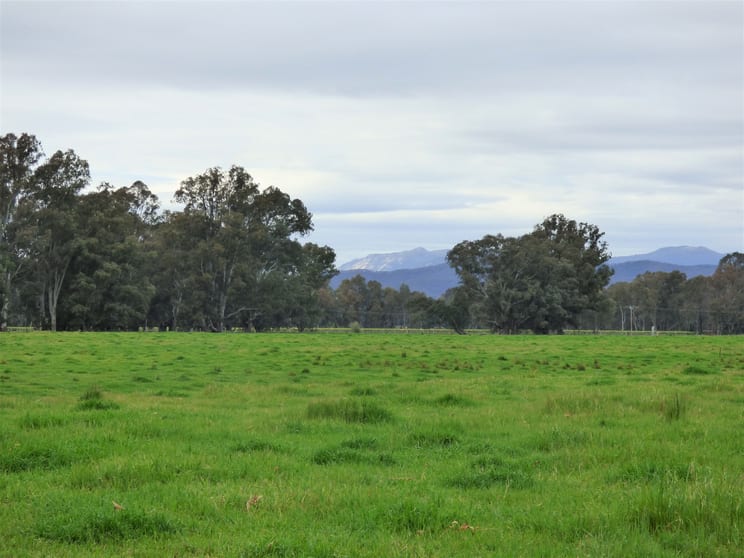 Click to view all images Lot 2 Whorouly Road Whorouly VIC 3735 - Image 2