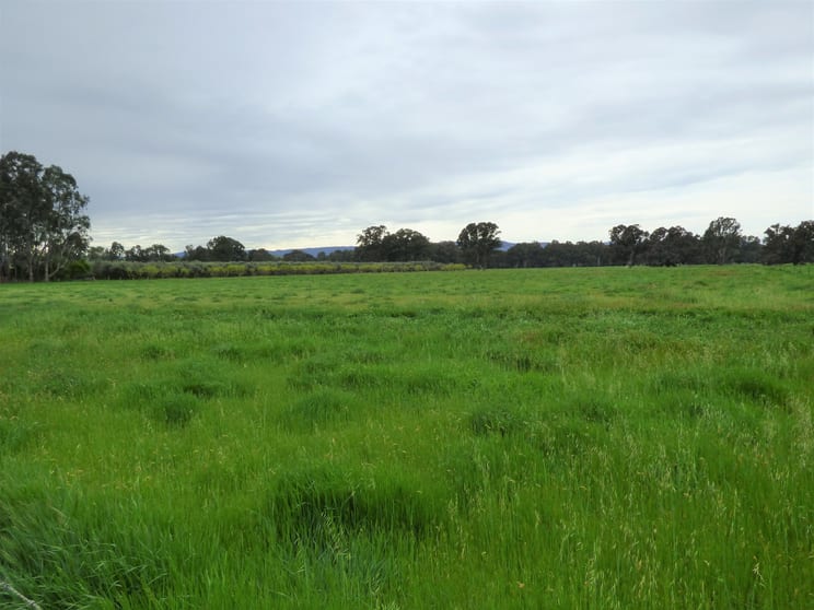 Click to view all images Lot 2 Whorouly Road Whorouly VIC 3735 - Image 3