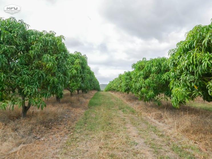 Click to view all images Dimbulah QLD 4872 - Image 1