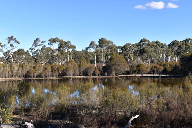 87 Paddys Close Lower Boro NSW 2580 - Image 3