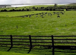 Rural & Farming  business for sale in Shepparton - Image 1
