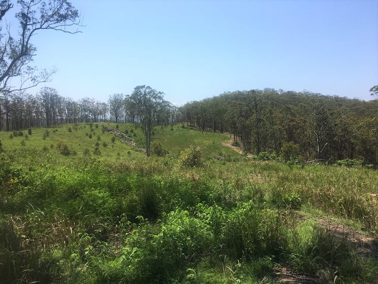 Click to view all images 702 Comboyne Road Bagnoo NSW 2446 - Image 1