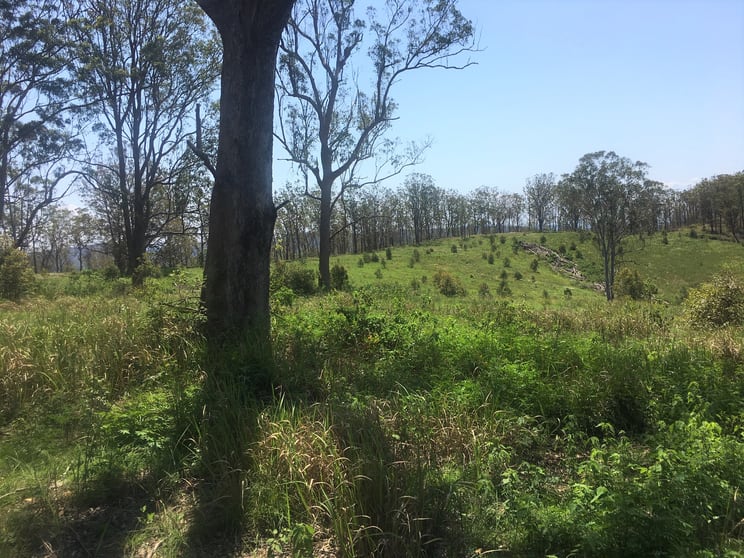 Click to view all images 702 Comboyne Road Bagnoo NSW 2446 - Image 2