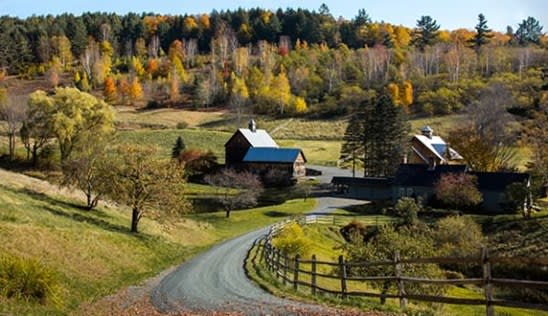 Click to view all images Rural & Farming business for sale in VIC - Image 2