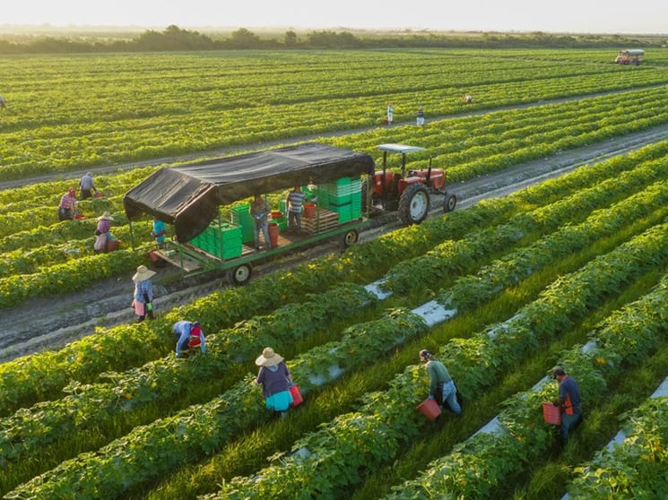 Click to view all images Rural & Farming business for sale in VIC - Image 3