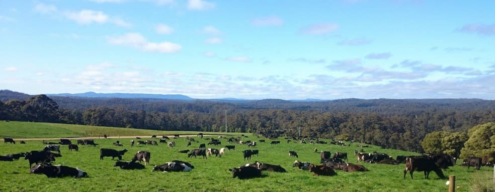110 Streets Road South Forest TAS 7330 - Image 1