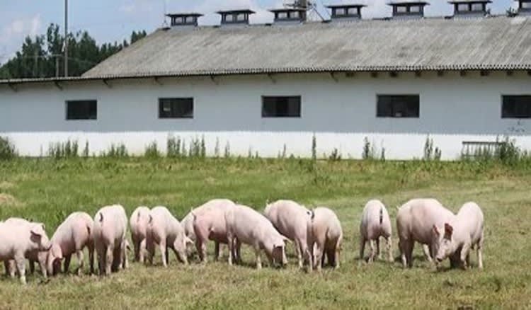 Rural & Farming  business for sale in NSW - Image 1