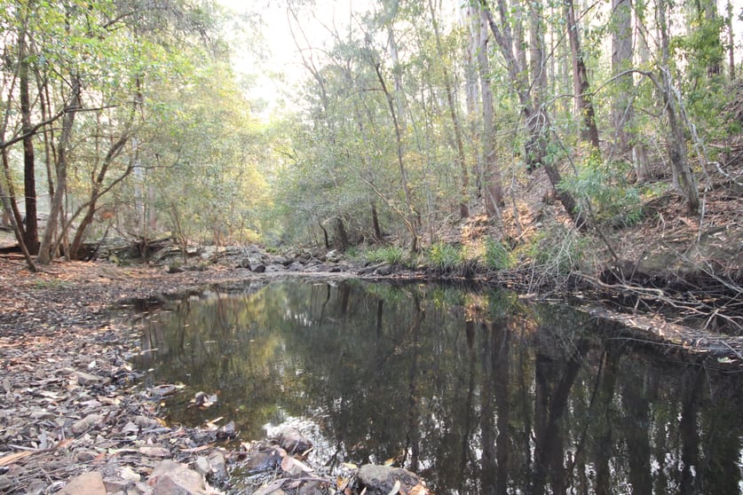 Click to view all images Lot 99 Blackbutt Road Herons Creek NSW 2439 - Image 1