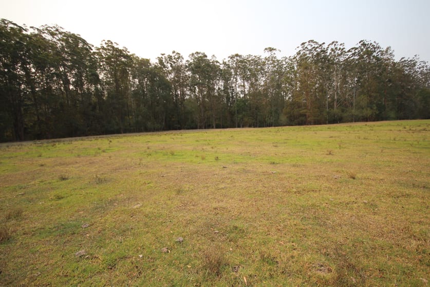 Click to view all images Lot 99 Blackbutt Road Herons Creek NSW 2439 - Image 2