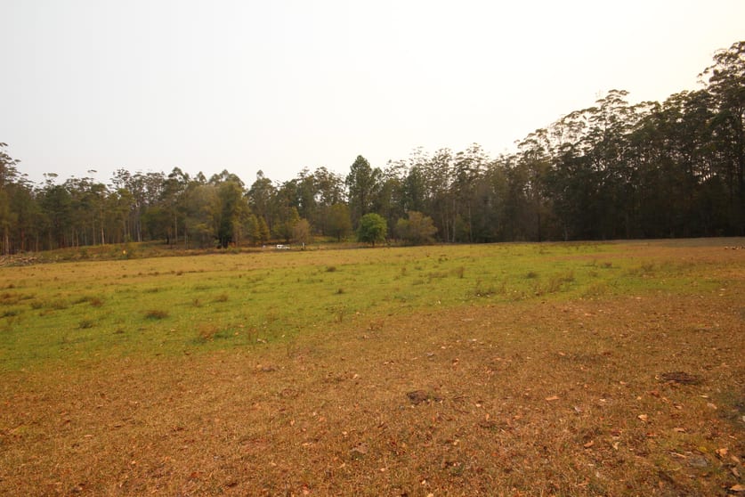 Click to view all images Lot 99 Blackbutt Road Herons Creek NSW 2439 - Image 3