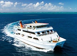 Accommodation & Tourism  business for sale in Cairns - Image 1