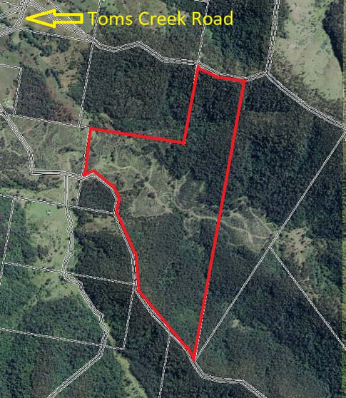 Lot 125 DP/7544058 Blue gum lane Toms Creek NSW 2446 - Image 2