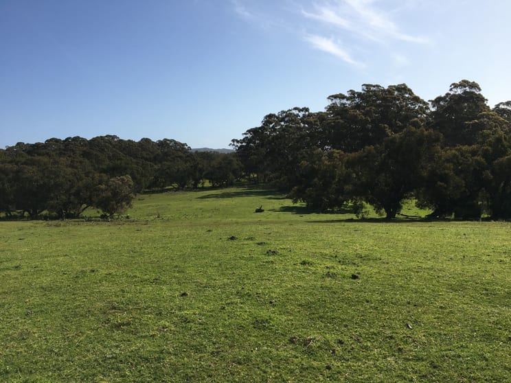 489 Thompson Rd Lowlands WA 6330 - Image 2