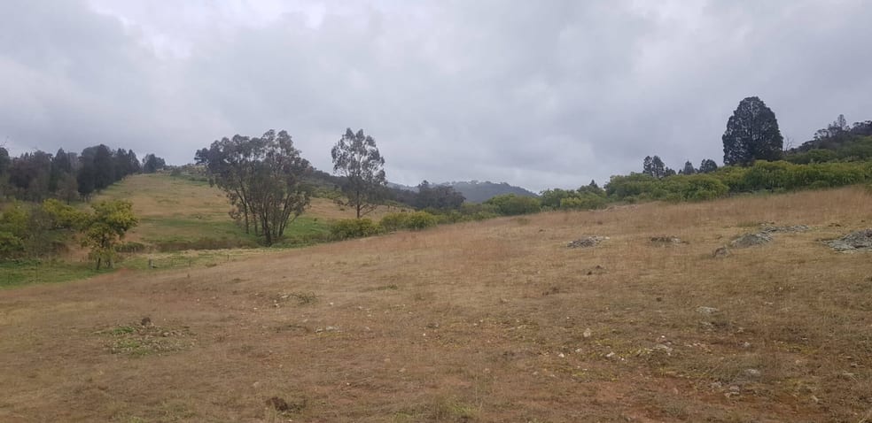 Click to view all images 655 Monaghans Rd Manildra NSW 2865 - Image 3