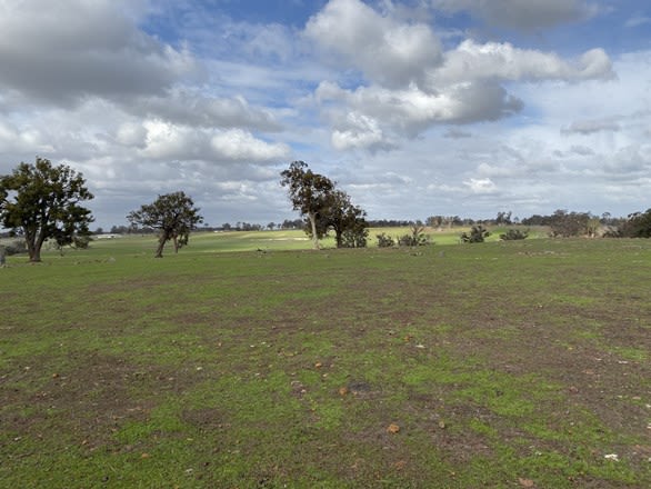 Lot 9531 Balgarup Road Boyup Brook WA 6244 - Image 3