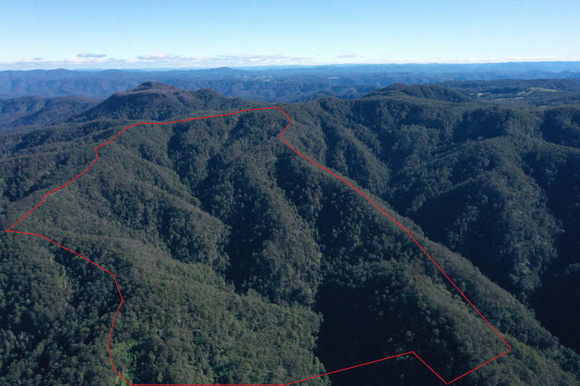 Click to view all images 2782 Comboyne Road Killabakh NSW 2429 - Image 2