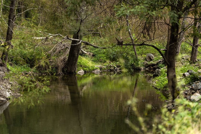 Click to view all images McPhersons Country Estates, Enfield Range Road Cells River NSW 2424 - Image 3