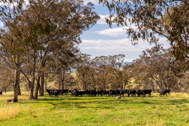 Click to view all images Hartley NSW 2790 - Image 1