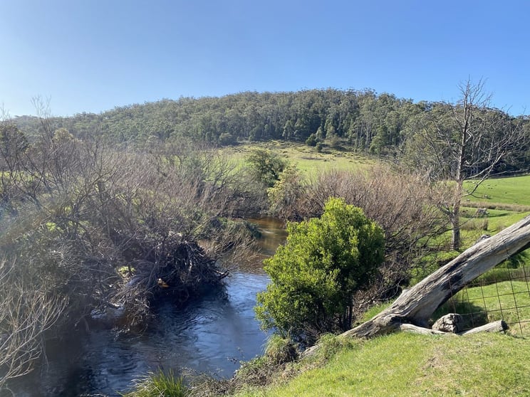 179 Reids Road St Helens TAS 7216 - Image 1